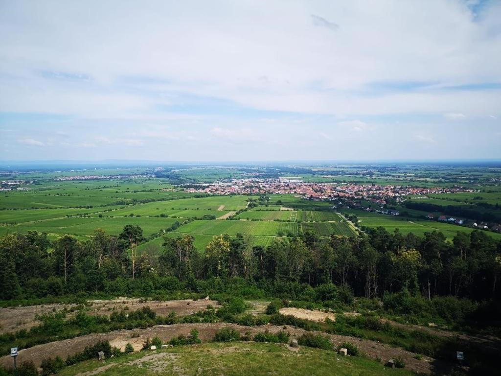 Wohnen Im Herzen Der Pfalz Neustadt an der Weinstraße Exterior foto
